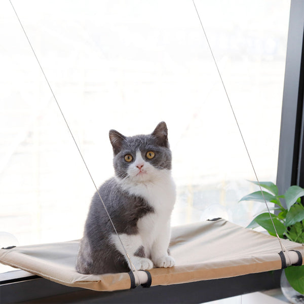 PAWISE Cat Window Perch Kitty Hammock Window Seat Cat Resting Sunny Seat Window Mounted Cat Bed