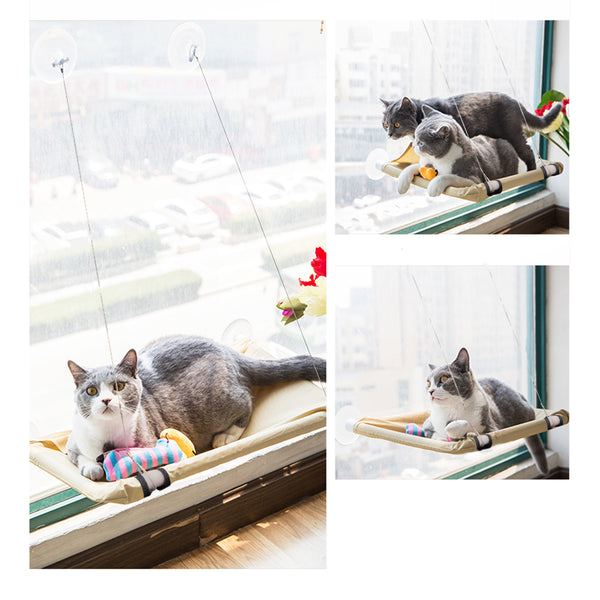 PAWISE Cat Window Perch Kitty Hammock Window Seat Cat Resting Sunny Seat Window Mounted Cat Bed