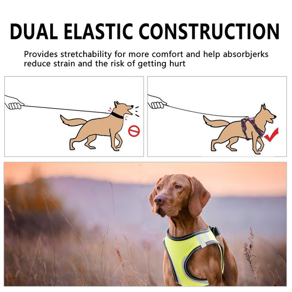 PAWISE Dog Harness No Pull Pet Reflective Mesh Soft Padded Mesh Walking Vest with 2 Leash Clips