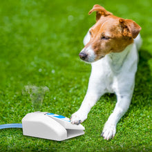 Load image into Gallery viewer, ALL FOR PAWS Dog Garden Fountain Paw Activated Pet Waterer Toys (Step Pedal)

