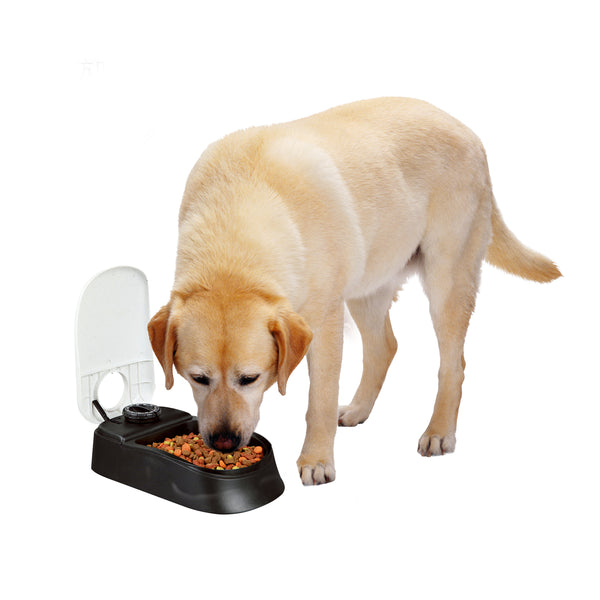Automatic Food Dispenser for Cats and Dogs (1 Meal)