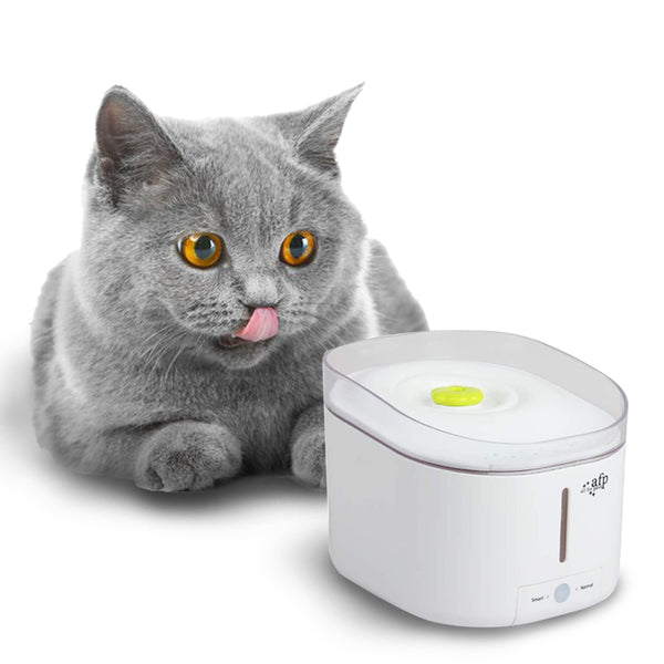 ALL FOR PAWS Automatic Cat Water Fountain Dog Water Filter Purifier Pet Fountain with UV, Healthy and Hygienic Drinking Fountain for Puppy, Kitten, Birds and Small Animals