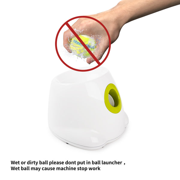 All for Paws Automatic Ball Launcher for Small and Medium Dogs, 3 Tennis Balls Included (Mini)
