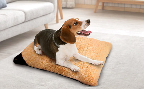 ALL FOR PAWS Dog Pillow Bed Ultra Soft Pet Dog Bed Comfortable Cushion Bed Plush Dog Pillow Machine Wash & Dryer Friendly