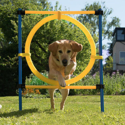 PAWISE Pet Dogs Outdoor Games Agility Exercise Training Equipment Agility Starter Kit Jump Hoop