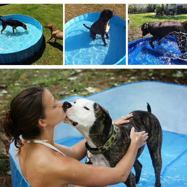 Outdoor Foldable Bathing Dog Pool (Medium)