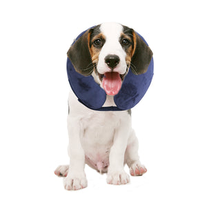 PAWISE Inflatable Protective E-Collar for Dogs and Cats