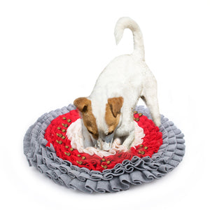 All for Paws Dog Feeding Mat, Nosework Training Dog Treat Slow Feeding Mat