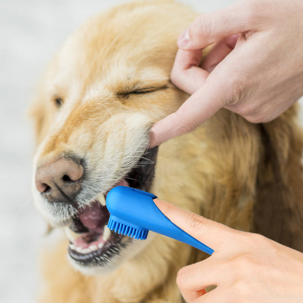 Dog Peanut Toothpaste Dental Care Kit