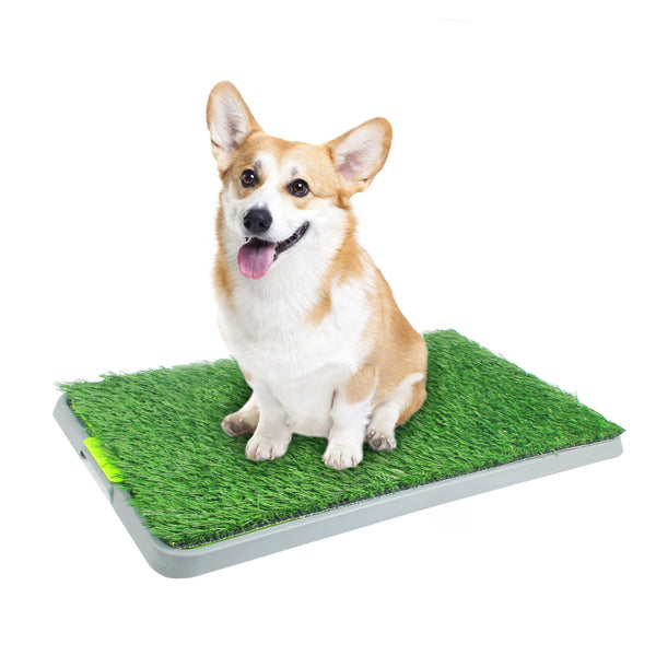 PAWISE Large Dog Pee Grass Training Mat, Artificial Dog Potty Grass for Indoor and Outdoor Use, 27" x 17''